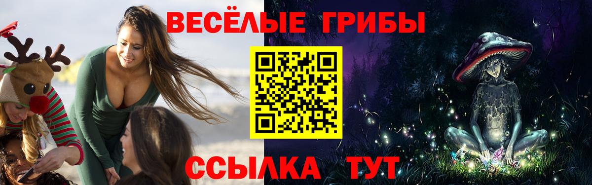 Галлюциногенные грибы Psilocybe Борисоглебск