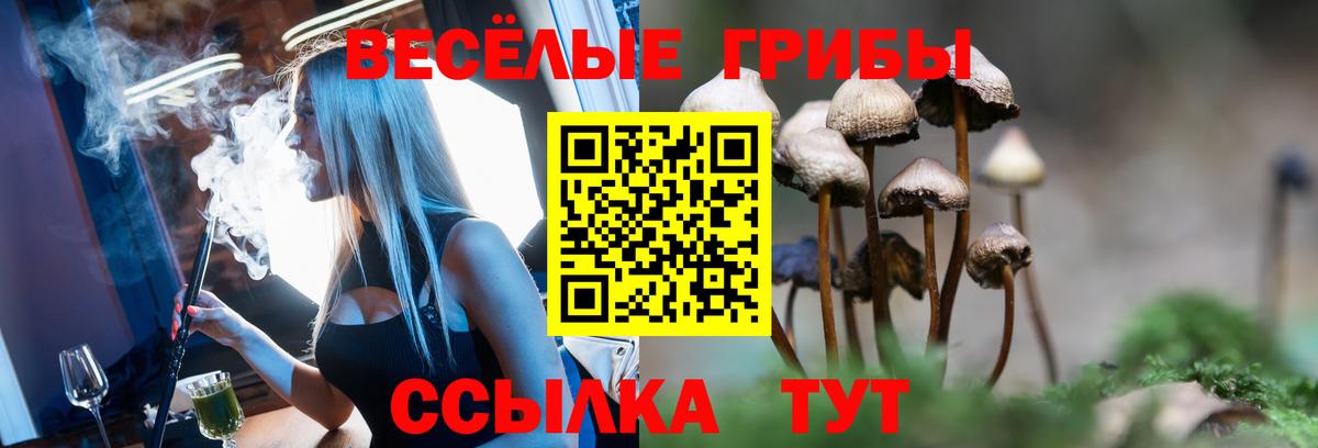 даркнет сайт  Вход с VPN  Борисоглебск  Псилоцибиновые грибы ЛСД  Псилоцибиновые грибы мицелий 